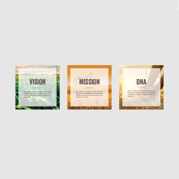 vision-mission-dna-posters